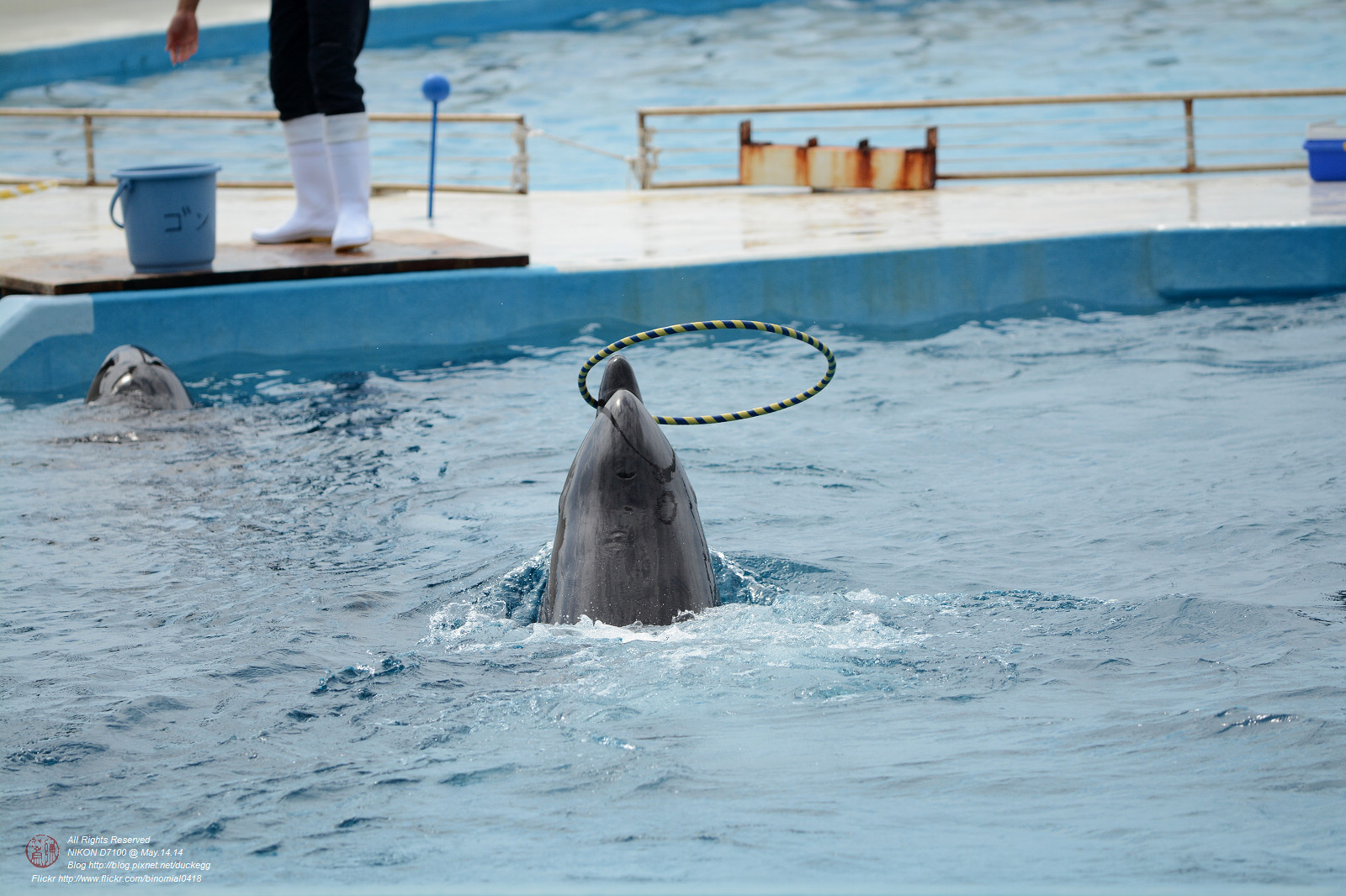 DSC_3055.jpg